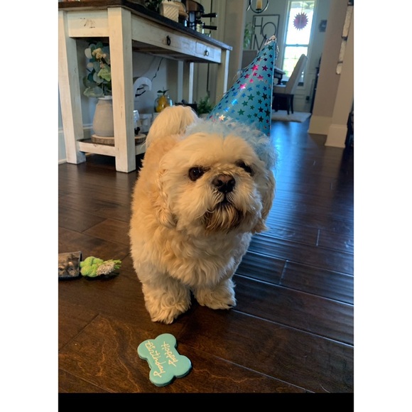 BOUGIEB_COUTURE Live Show Notification - Picture 16 of 16